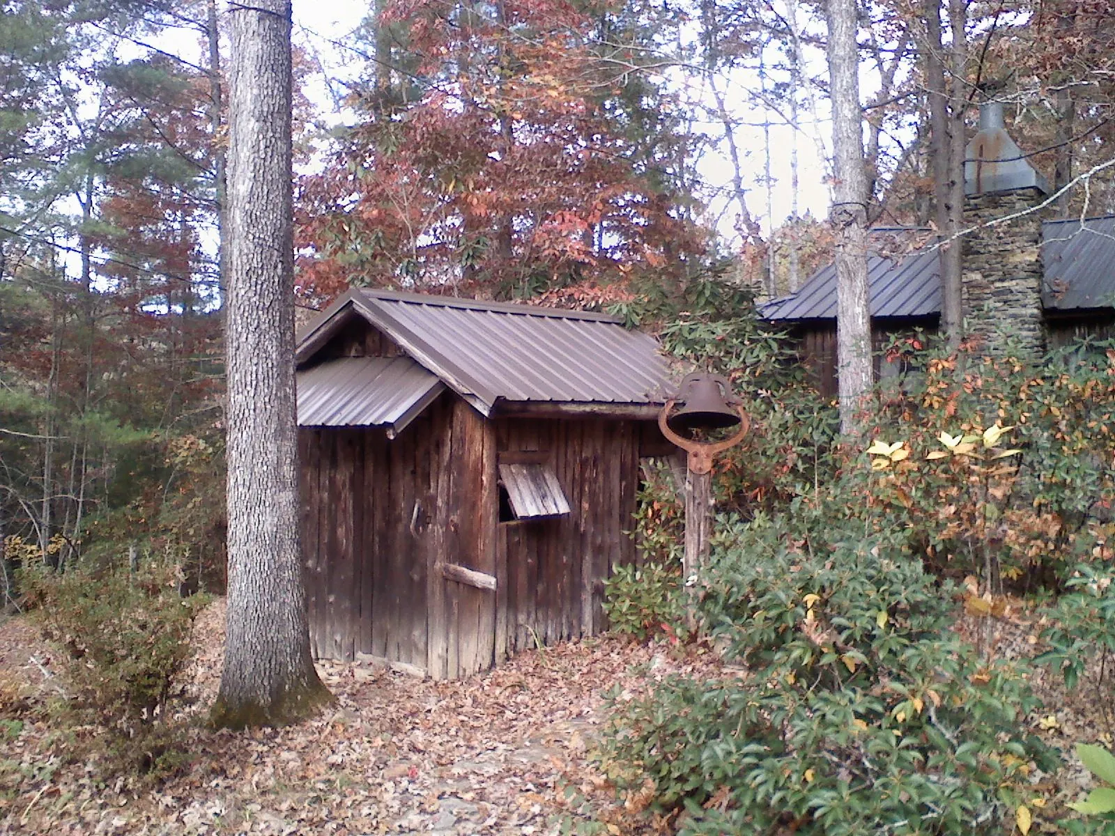 Small metal roof on a rough sawn shed in the woods in Munfordville
